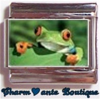 « Photo charm » - Thème : Animaux