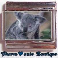 « Photo charm » - Thème : Animaux