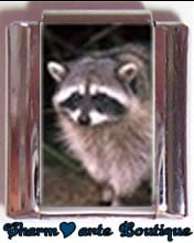 « Photo charm » - Thème : Animaux
