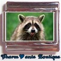« Photo charm » - Thème : Animaux