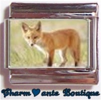 « Photo charm » - Thème : Animaux