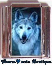 « Photo charm » - Thème : Animaux