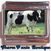 « Photo charm » - Thème : Animaux