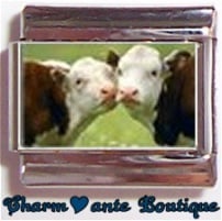« Photo charm » - Thème : Animaux