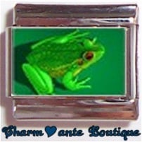 « Photo charm » - Thème : Animaux