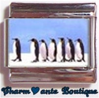 « Photo charm » - Thème : Oiseaux