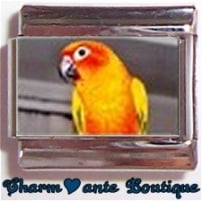 « Photo charm » - Thème : Oiseaux