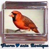 « Photo charm » - Thème : Oiseaux