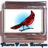 « Photo charm » - Thème : Oiseaux