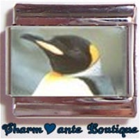 « Photo charm » - Thème : Oiseaux