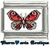 « Photo charm » - Thème : Papillons