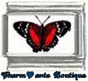 « Photo charm » - Thème : Papillons