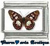 « Photo charm » - Thème : Papillons