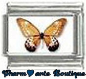 « Photo charm » - Thème : Papillons