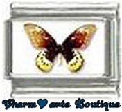 « Photo charm » - Thème : Papillons