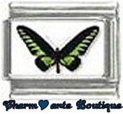 « Photo charm » - Thème : Papillons