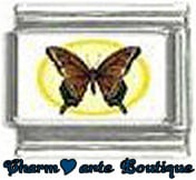 « Photo charm » - Thème : Papillons
