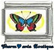 « Photo charm » - Thème : Papillons