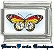 « Photo charm » - Thème : Papillons