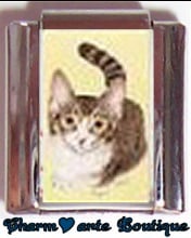 « Photo charm » - Thème : Chats