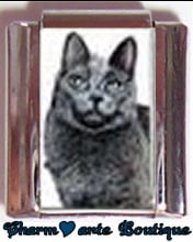 « Photo charm » - Thème : Chats