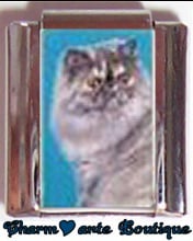« Photo charm » - Thème : Chats