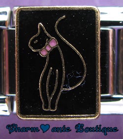 Chat avec boucle rose sur fond noir