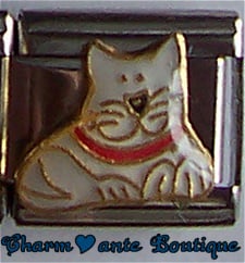 Chat blanc avec collier rouge