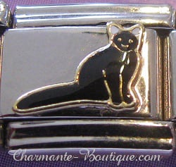 Chat noir