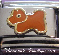Chien orange