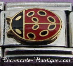 Coccinelle 1