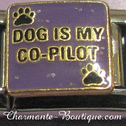 Dog is my co-pilot