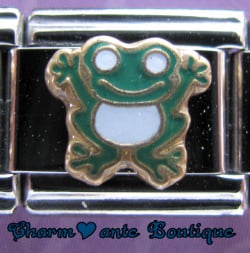 Grenouille avec le ventre blanc