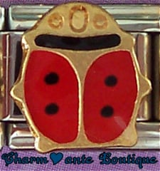 Coccinelle 2