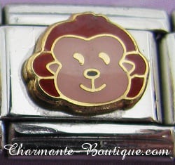 Tête de singe