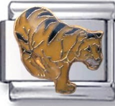 Tigre orange