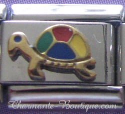 Tortue multicolore
